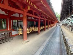 -奈良公园