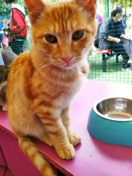 -萌宠亲子动物乐园(槐房万达店)