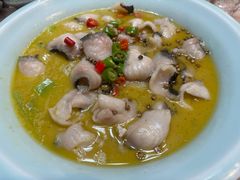 -新东新.融合菜