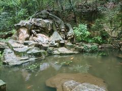 -虎跑公园