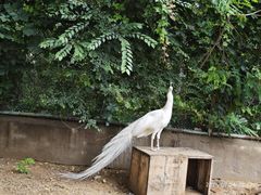 -秦皇岛野生动物园