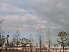 -台场海滨公园船码头