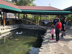 -京北渔家傲