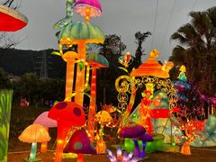 -重庆海昌加勒比海水世界