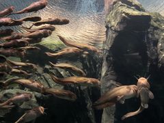 -珠海长隆海洋王国