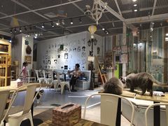 大堂-小时光咖啡馆(开森度假森林店)