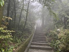 -缙云山景区
