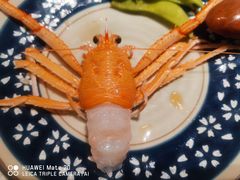 南极精灵虾-原志优秀食材·匠心料理·海胆主题(金亿广场店)
