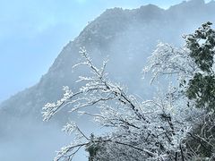 -金子山原生态旅游风景区
