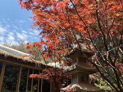 -翠湖里(翠湖南路店)