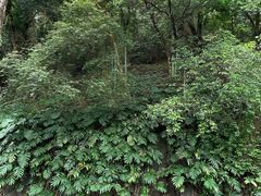 -广东温泉宾馆