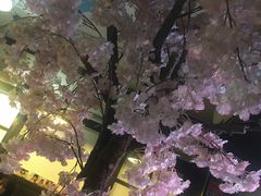 -金龙咖喱