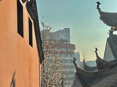 -长春观