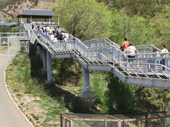 -大青山野生动物园