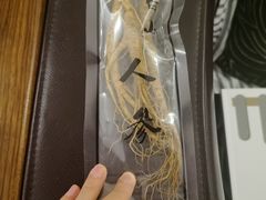 -上海市中医医院(芷江路院区)