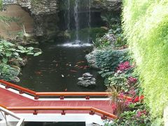 -广州白天鹅宾馆