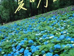-临平公园(临平街道)