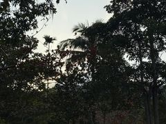 -海南槟榔谷黎苗文化旅游区