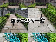 -三里河公园