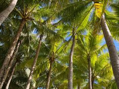 -海南分界洲岛旅游区