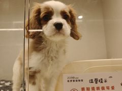 -瑞虹新天地月亮湾