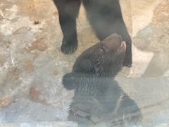 -青峰峡国家森林公园