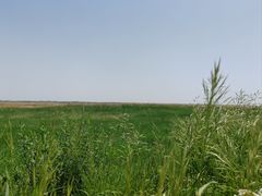 -敕勒川草原文化旅游区