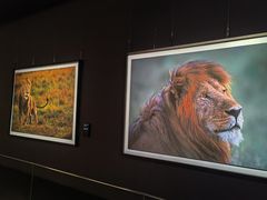 -罗红摄影艺术馆