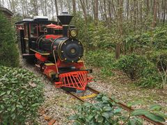 -合肥滨湖国家森林公园