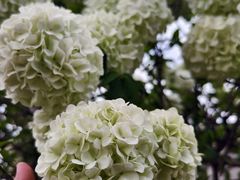 -大龙山(地铁站)