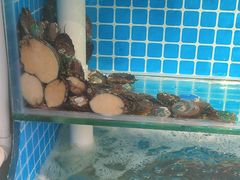 -北戴河庆山饭店·海鲜砂锅粥(北戴河黑石路店)