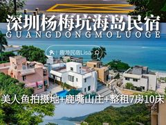 -杨梅坑
