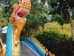 -西双版纳勐泐文化旅游区