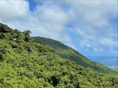 -三亚亚龙湾人间天堂鸟巢度假村