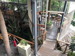 -Rainforest