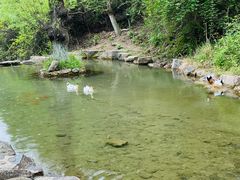-云丘山景区