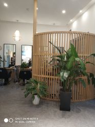 -章光101防脱养发荟