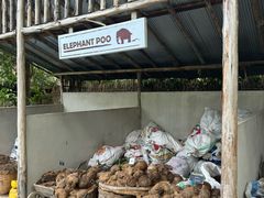 -大象粑粑造纸公园