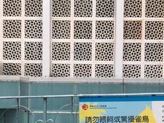 -九龙公园