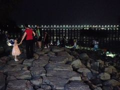 -宝安西湾红树林湿地公园