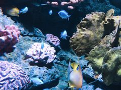-暹罗海洋世界