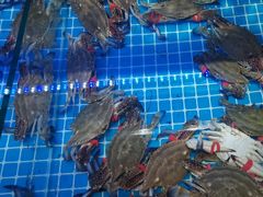 -前王院•巧克力海鲜市集餐厅(万平口店)