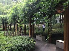 -徐家汇源景区-衡山公园