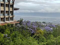 -大理实力希尔顿酒店•御玺中餐厅