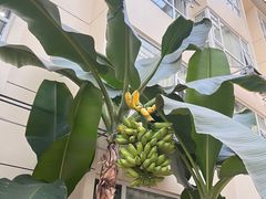 -兴芮温泉度假区