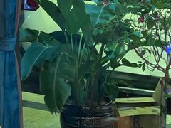 -康健民中泰式·古法按摩连锁品牌(华润万家店)