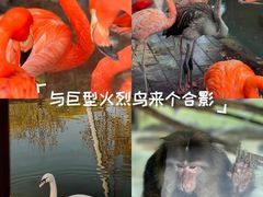 -太原动物园