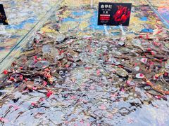 飞蟹-钱库里海鲜自助(星海广场店)