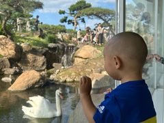 -罗红摄影艺术馆