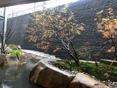 -茑屋书店(天目里店)